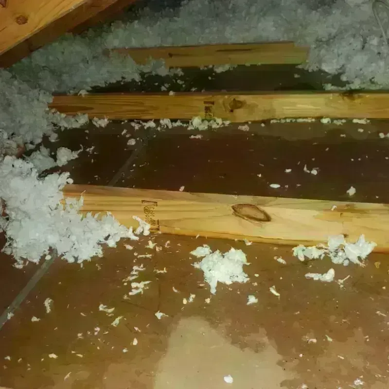 Attic Water Damage in Floresville, TX